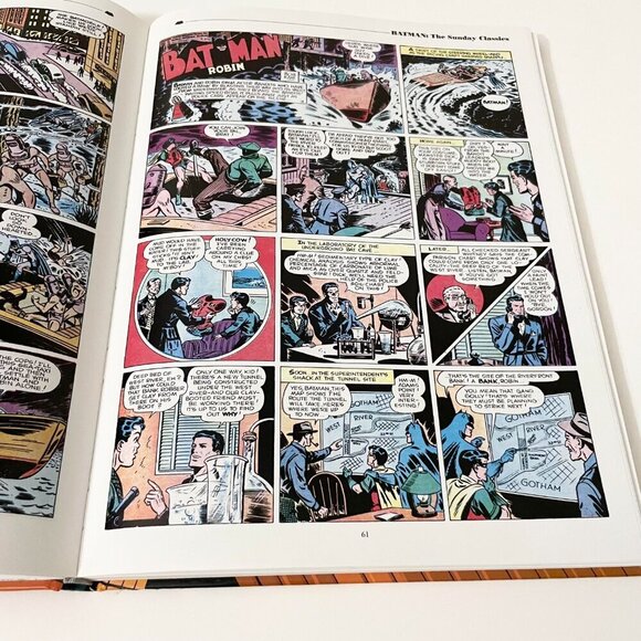 Batman The Sunday Classics Hardcover Book Flaws - Picture 13 of 16